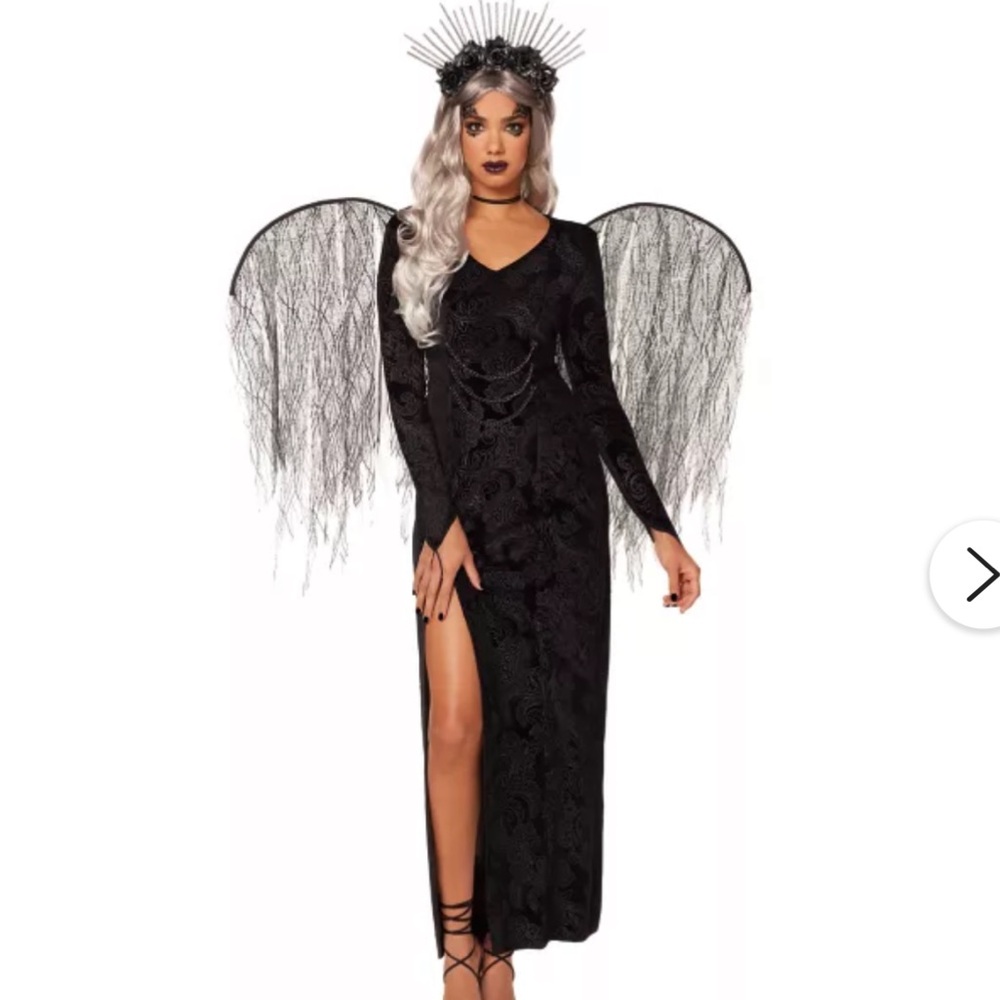 Adult Dark Angel Costume NWT haven’t taken out of bag at all